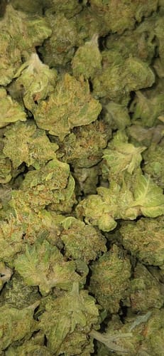 Customer photo review of Cheap THCA Smalls Pound