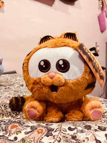 Customer photo review of Peluche Baby Garfield 25 Cms - Garfield