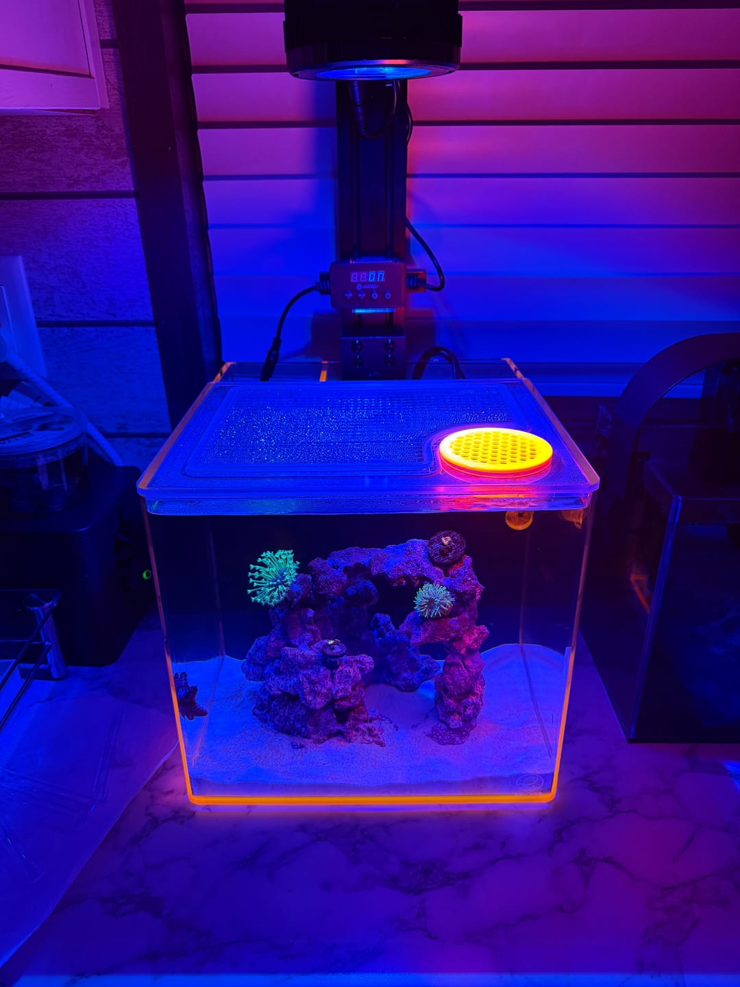 Customer photo review of Pixel LED Bundle