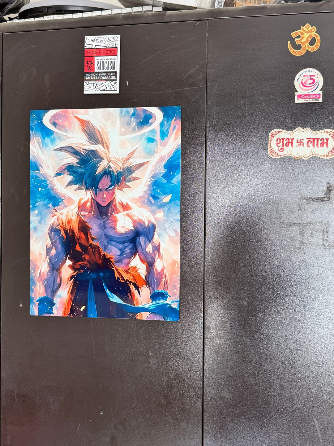 Customer photo review of goku