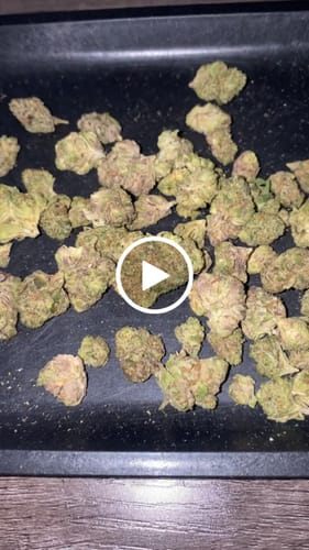 Customer video review of Black Runtz THCA Flower Mediums