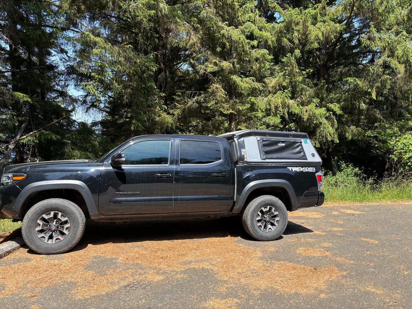 Customer photo review of MID-SHORT MR50