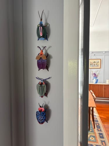 Customer photo review of Fungus Beetle