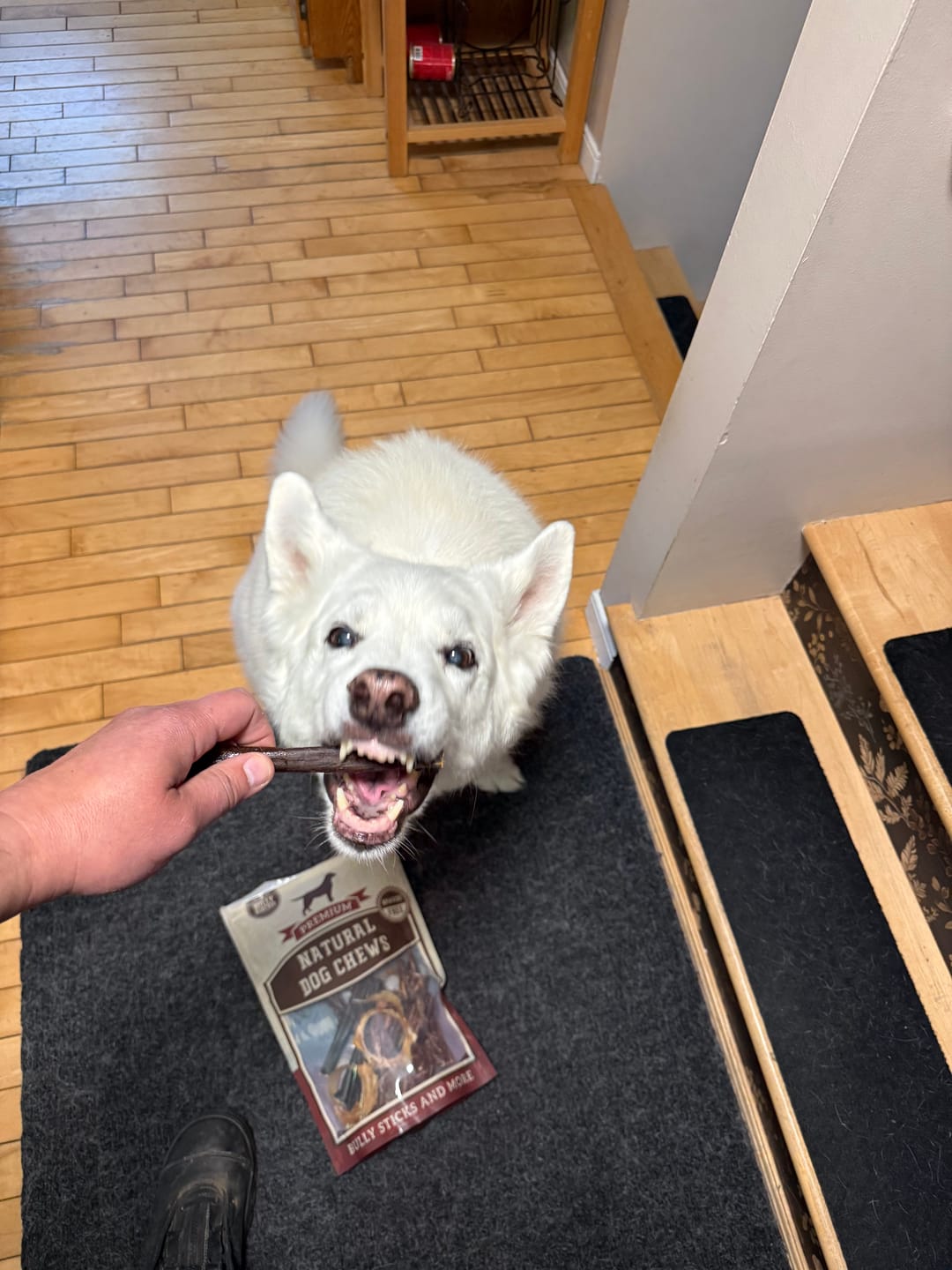 Customer photo review of 6 Inch Braided Jerky Stick