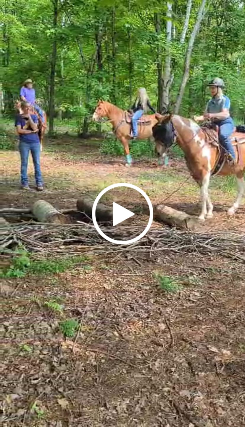 Customer video review of EquiVizor Fly Mask - Standard