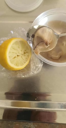 Customer photo review of Bluff Oysters Fresh (1st Grade) Dozen