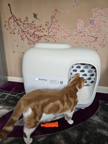 Customer photo review of Self-Cleaning Litter Box