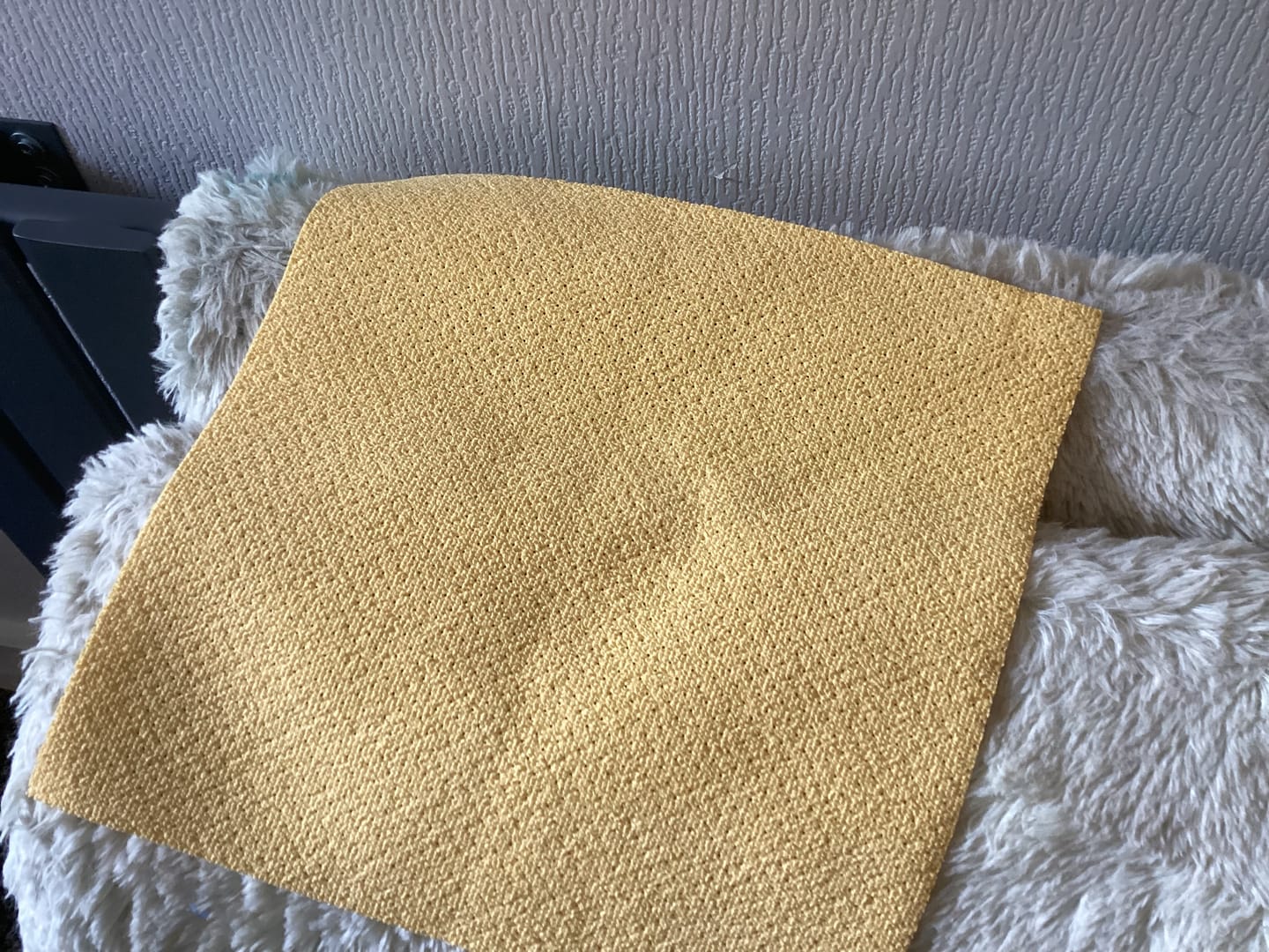 Customer photo review of GENIE GLASS CLOTH