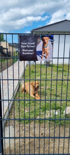 Customer photo review of Hunde-Türschild personalisiert mit Foto & Text (UV- und wetterfest)