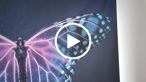 Customer video review of Foto Rollo "Sonnenuntergang Ostsee"