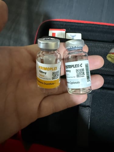 Customer photo review of Primoplex