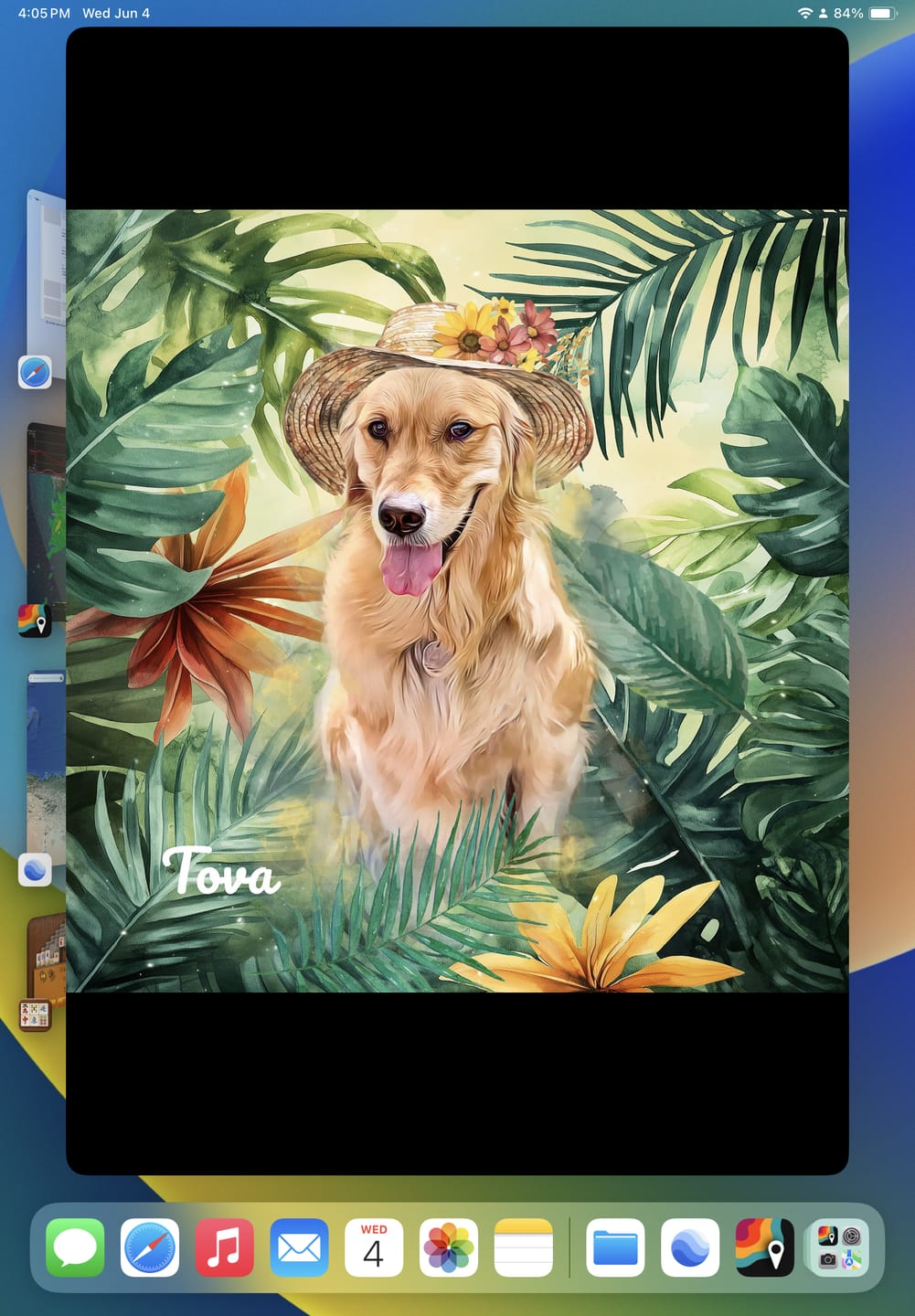 Customer photo review of Custom Watercolor Pet Portrait – SummerTime (ST)