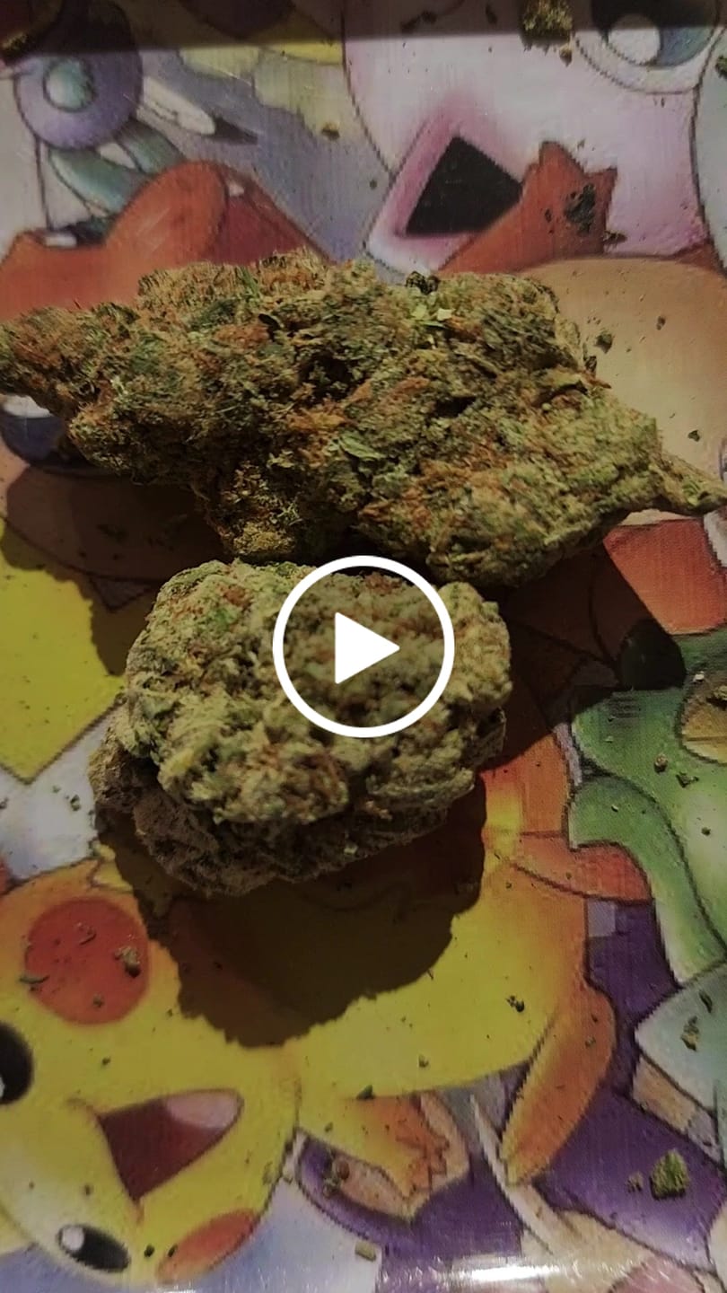 Customer video review of Snowing Candy IceFlash -THCa Flower