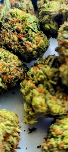 Customer photo review of BFCM THCA Flower Ounces (30% Off)