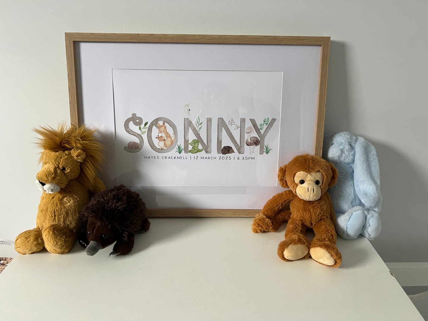 Customer photo review of Australian Animals Name Print