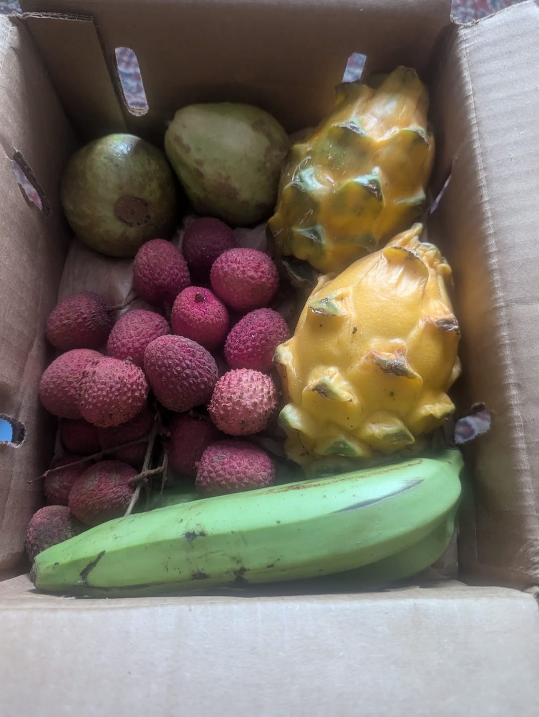 Customer photo review of Build Your Own Tropical Fruit Box