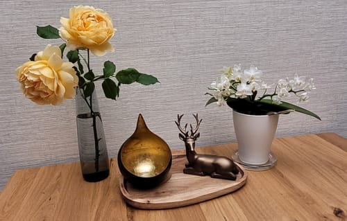 Customer photo review of Bonsaiorchidee Nazare mit weißen Blüten und 5+ Rispen