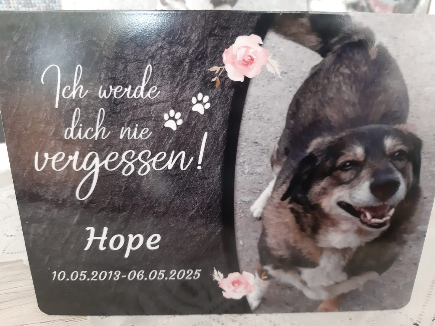 Customer photo review of Hunde Gedenktafel mit Foto & Spruch (UV- & Wetterfest)