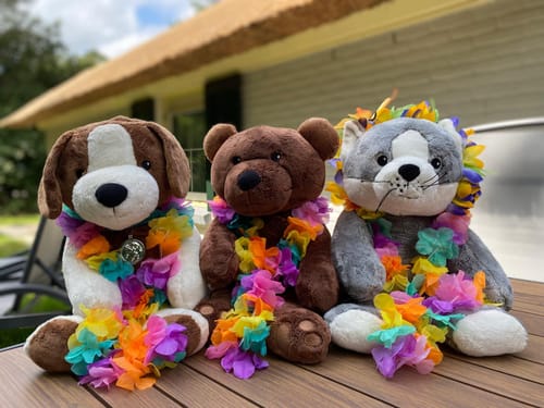 Customer photo review of Verzekerde verzending