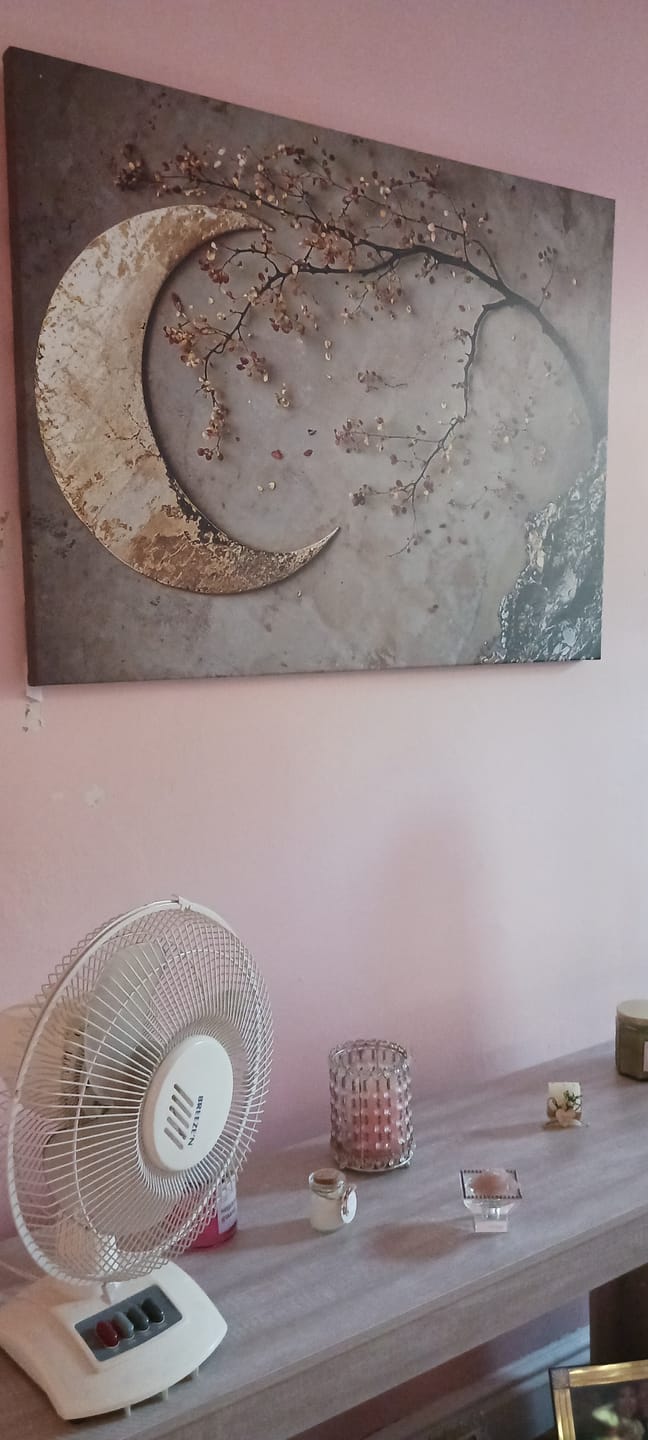 Customer photo review of Enchanted Moonrise Wall Art – Crescent Moon and Blossoming Branch Canvas