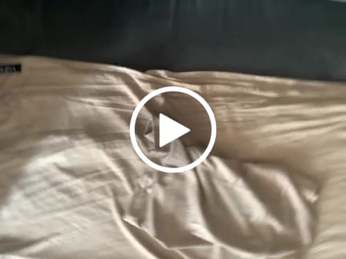 Customer video review of Matching Premium Jersey Hijab & Undercap Set - Oat