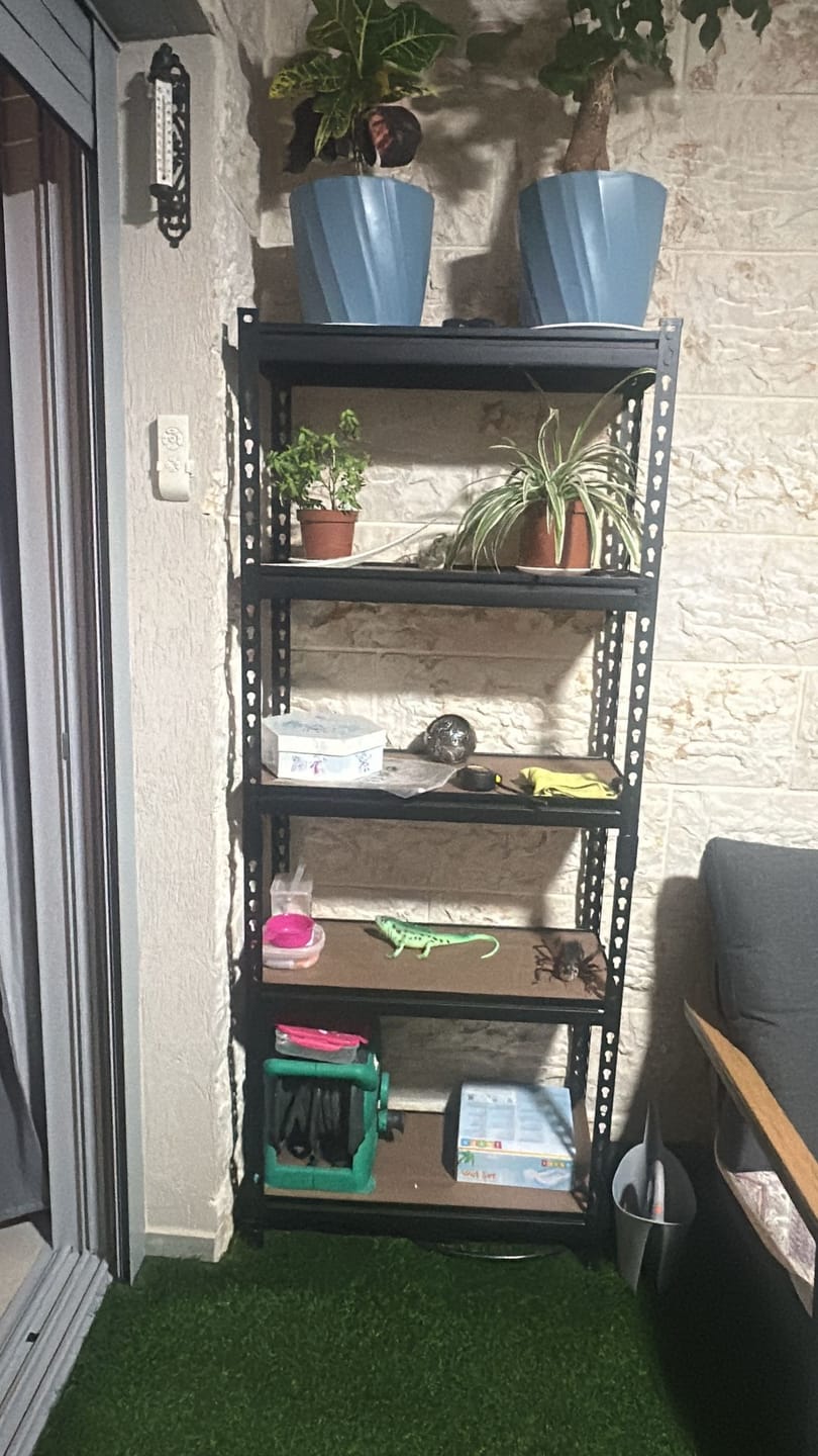 Customer photo review of כוננית מתכת פרמיום 5 מדפים מודולריים גובה 1.8 מטר