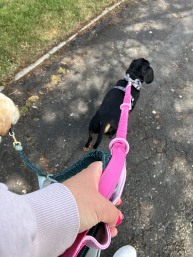 Customer photo review of Handsfree Lead Addition - Walkies Ready® Raspberry Pink