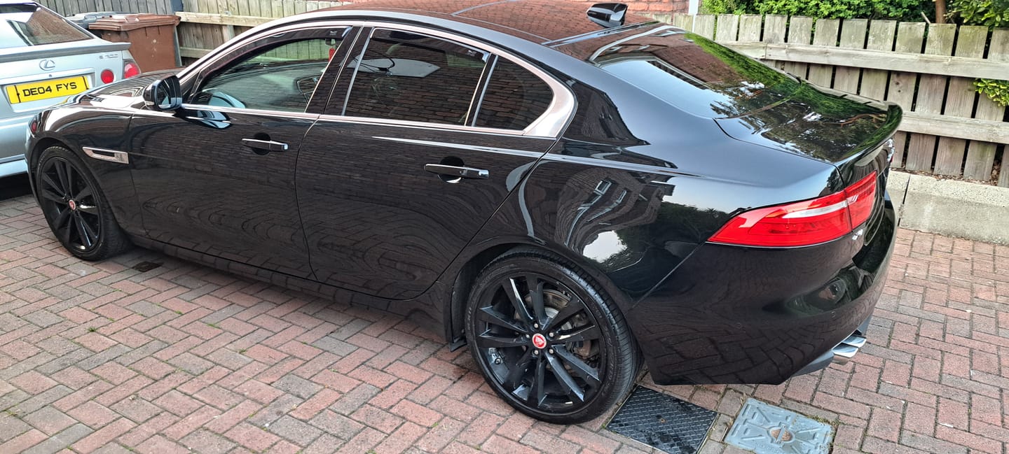 Customer photo review of The Apex Extreme Kit