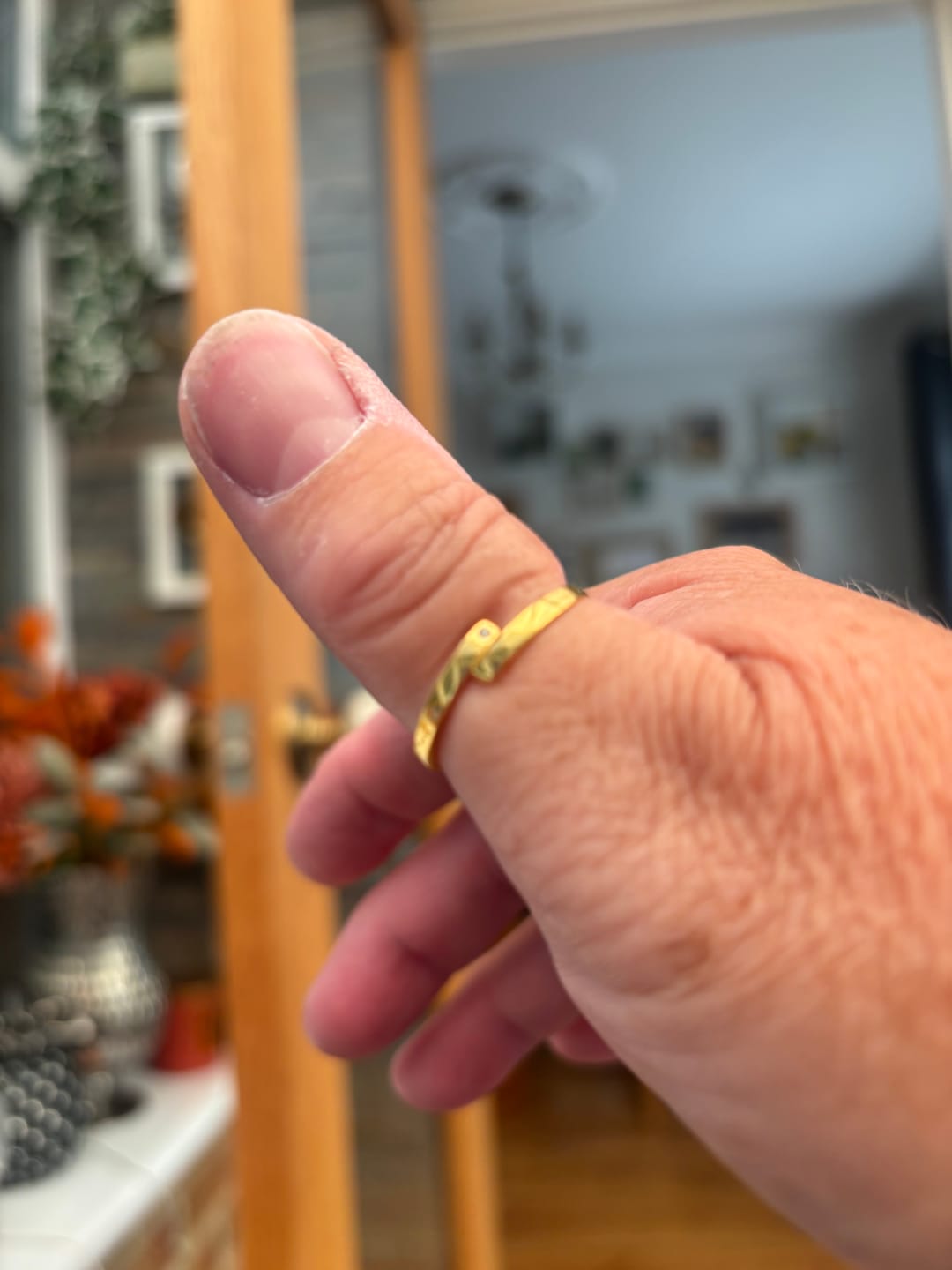 Customer photo review of Fit Ring