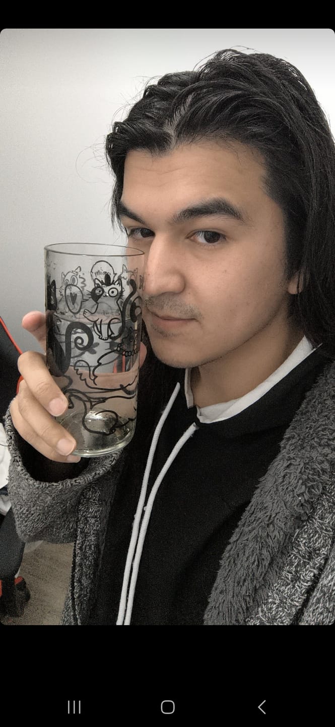 Customer photo review of Miau Glass - Juego de 6 Vasos - 500 ml