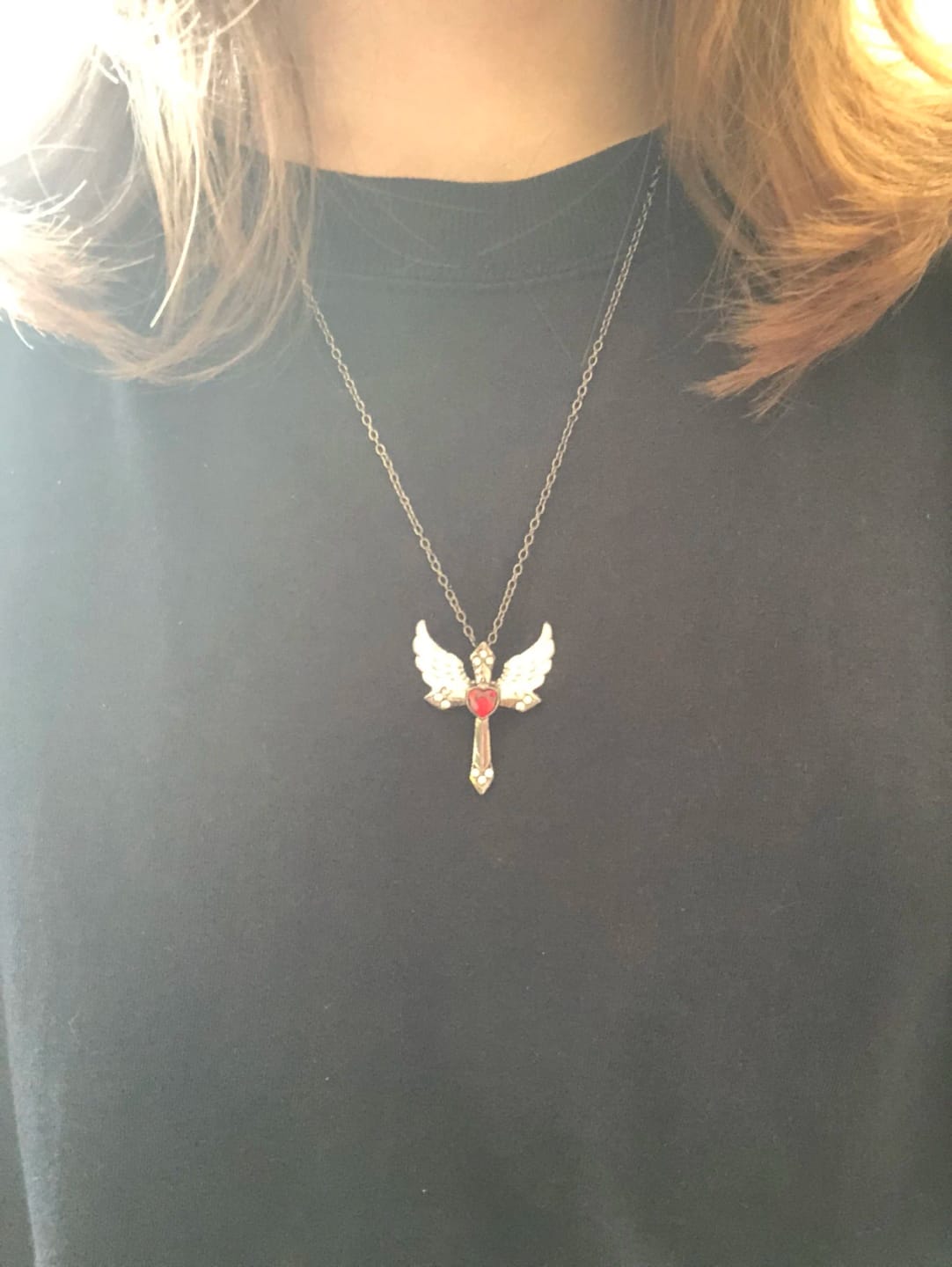 Customer photo review of Wings of Faith