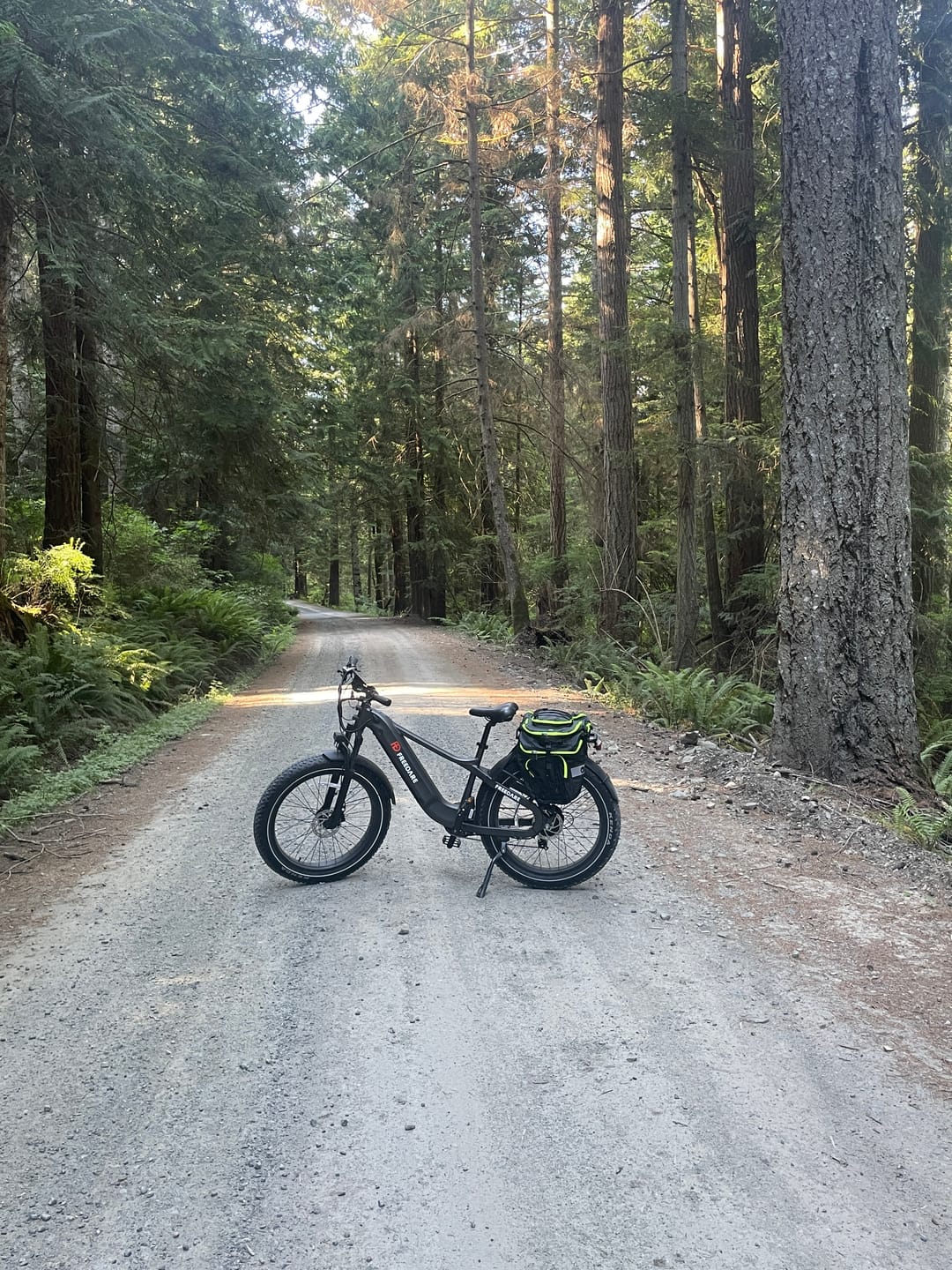Customer photo review of FD Saiga All-terrain Fat Tire Electric Bike丨UL Certified