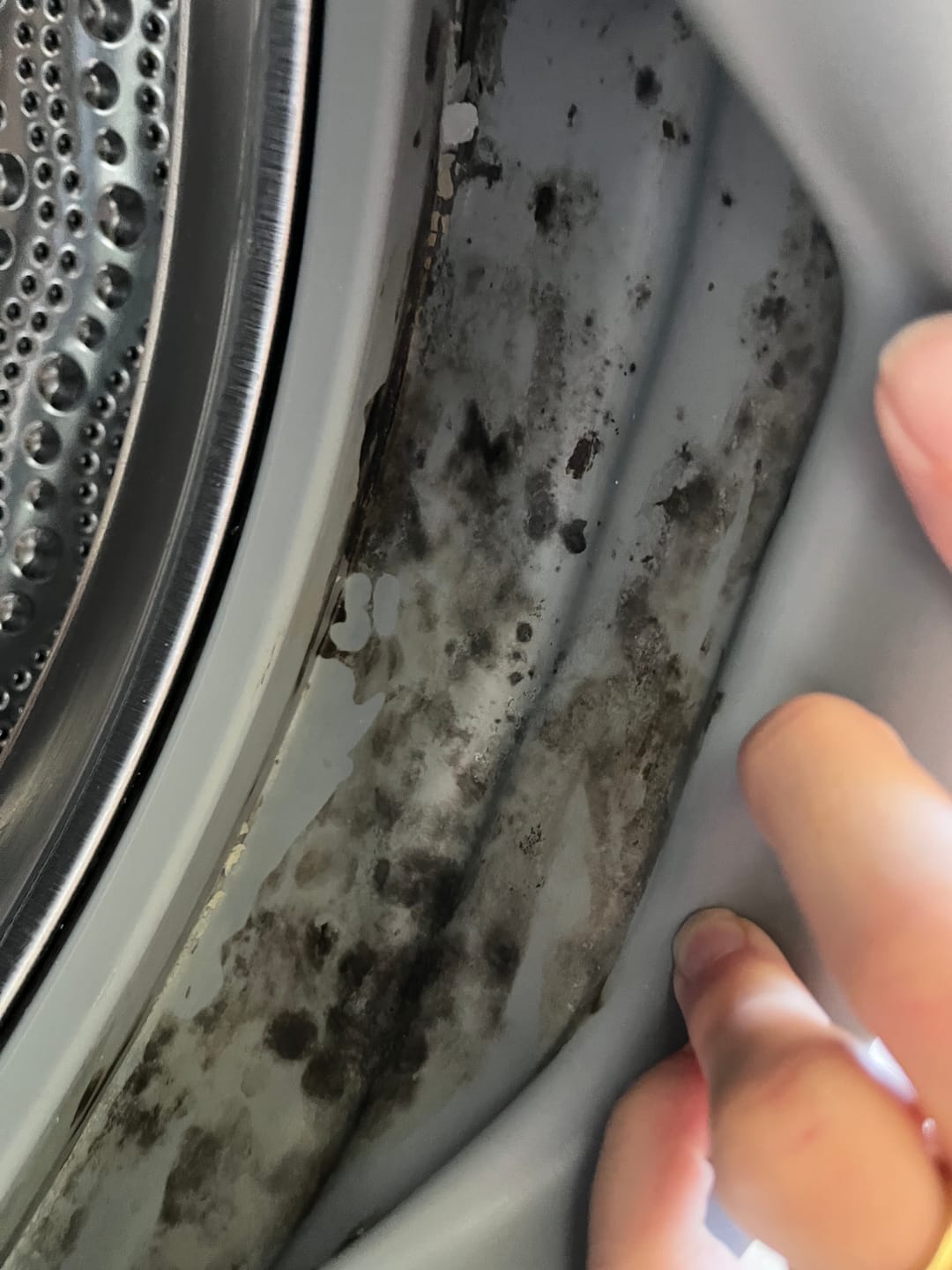 Customer photo review of GLASSGUARD® Miracle Mould Removal Gel