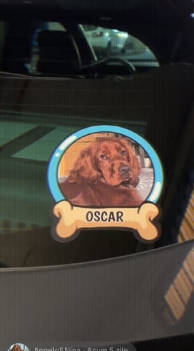Customer photo review of Pets on board - Personalized Car Sticker