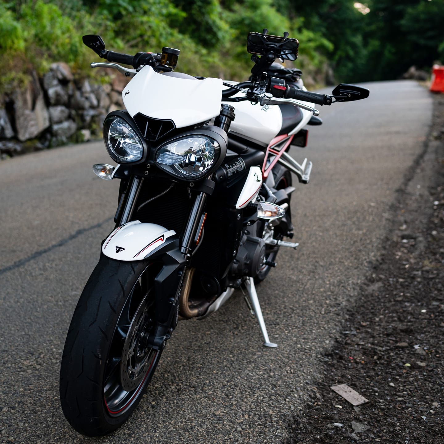 Customer photo review of Triumph Bar End Finishers & Mirror Kits - 7/8” Handlebar Triumph Models
