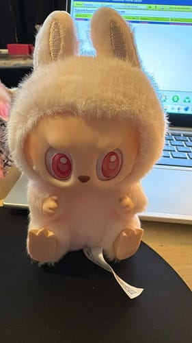 Customer photo review of Pop Mart Labubu The Monsters Have a Seat Vinyl Plush Blind Box