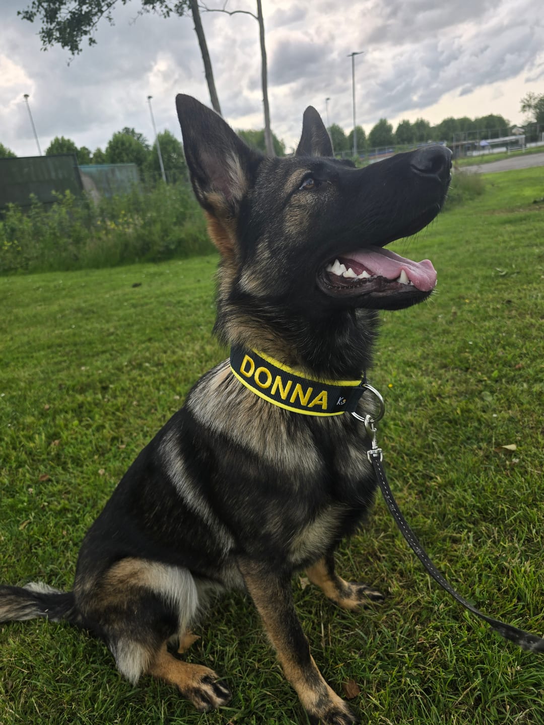 Customer photo review of Neoprene Dog Collar with Name - XL | 4Kyon