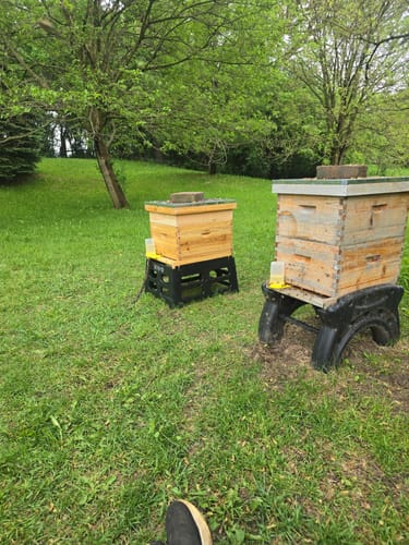 Customer photo review of BeeCastle Hives 10 Frame 4 Layer Wax Coated Beehive Include 2 Super Acrylic Window Box And 2 Deep Window Box With Pine Wooden Frame And Beeswax Coated Plastic Foundation