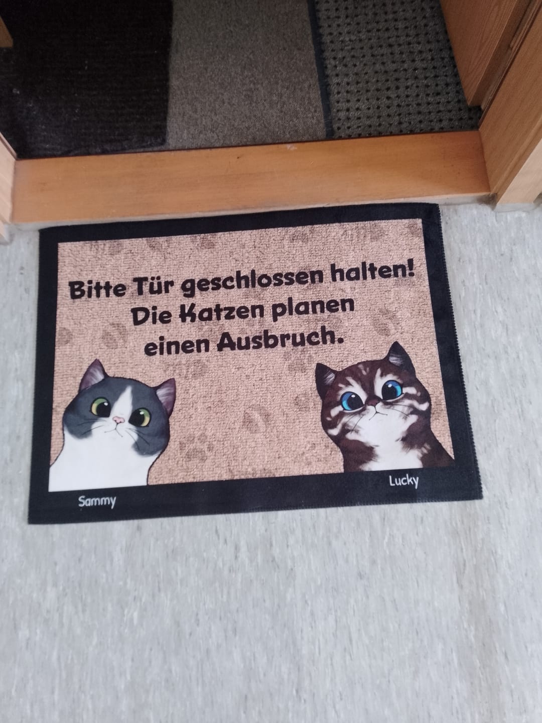 Customer photo review of Katzen planen einen Ausbruch - Individuelle Fußmatte