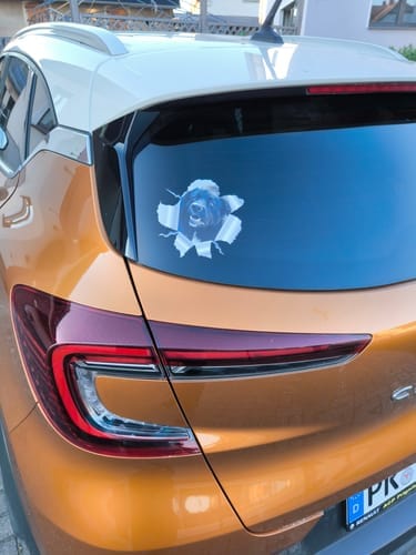 Customer photo review of Peeking photo – Personalized Car Sticker