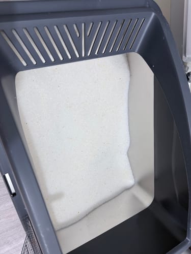 Customer photo review of 1 Month Supply – 1 Cat