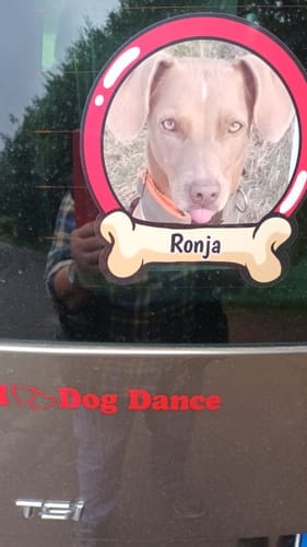 Customer photo review of Pets on board - Personalized Car Sticker