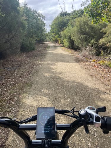 Customer photo review of The Scrambler eBike