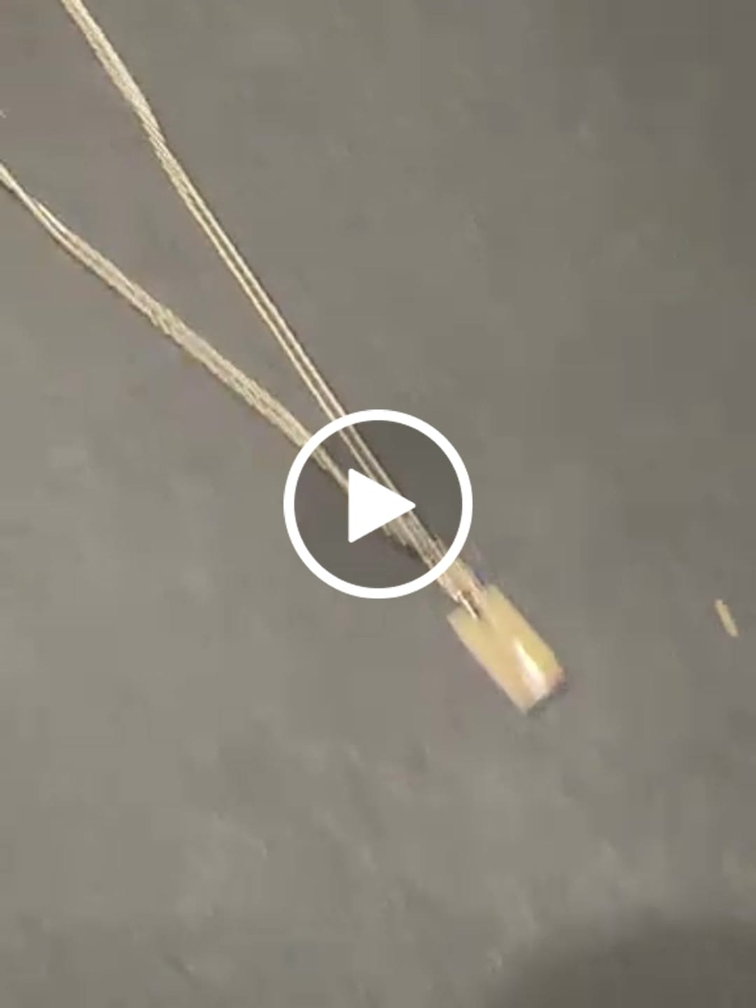 Customer video review of Collar Delhi Silver