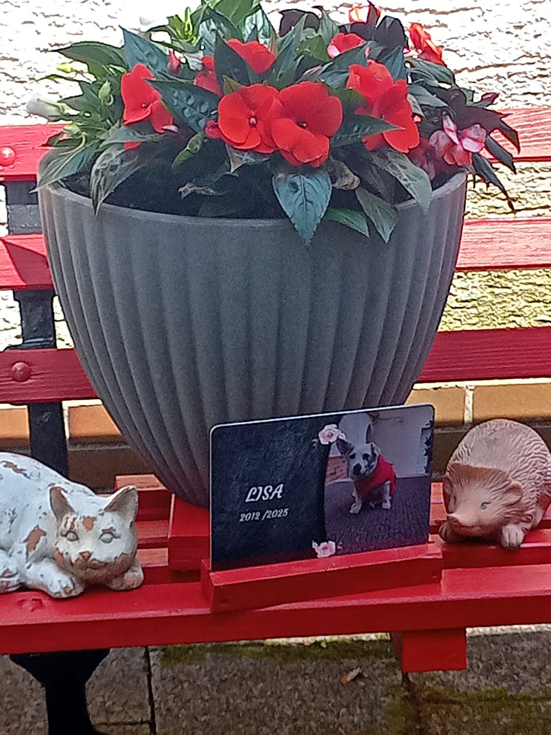 Customer photo review of Hunde Gedenktafel mit Foto & Spruch (UV- & Wetterfest)