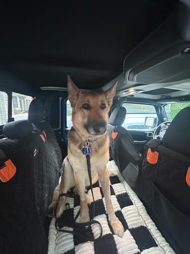 Customer photo review of RuffRover 2.0™ - Hard Bottom Back Seat Extender + (FREE Dog Bed)