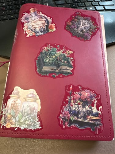 Customer photo review of Planners Starter Kit-  'CANDY HEART'
