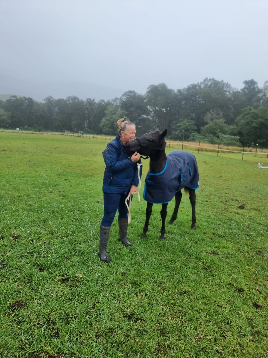 Customer photo review of Amigo Foal Rug 200g