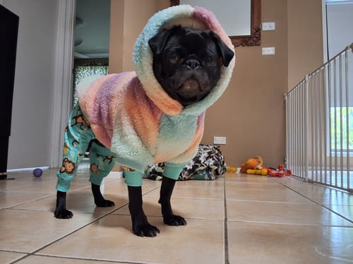 Customer photo review of Fluffdreams Blanket Dog Hoodie - Pastel Icing