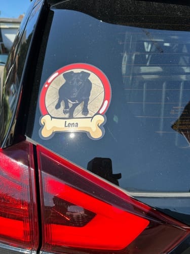 Customer photo review of Pets on board - Personalized Car Sticker